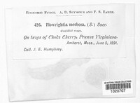 Image Associated With the Occurence
